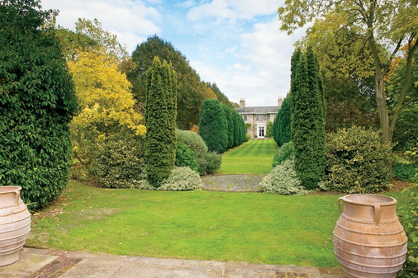 Wymarzona aleja z tujami. Ogród z tujami