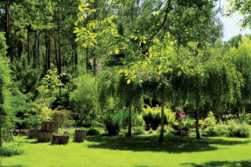 Dom zupełnie znika wśród bujnej zieleni.