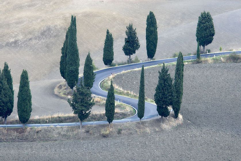 Zdjęcia Marcina Sochy