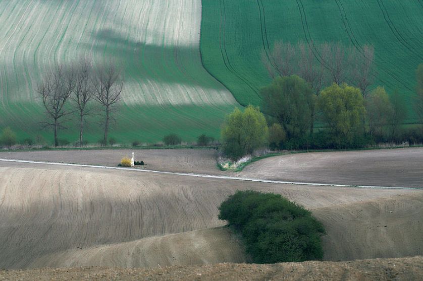 Zdjęcia Marcina Sochy