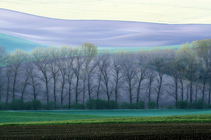 Zdjęcia Marcina Sochy