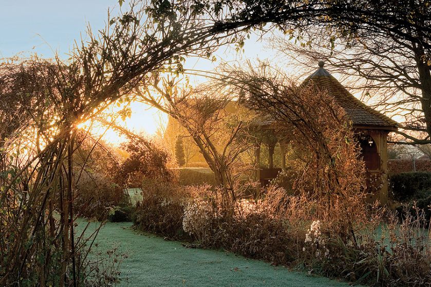 Kathy Brown s Garden. Ogród mrozem malowany