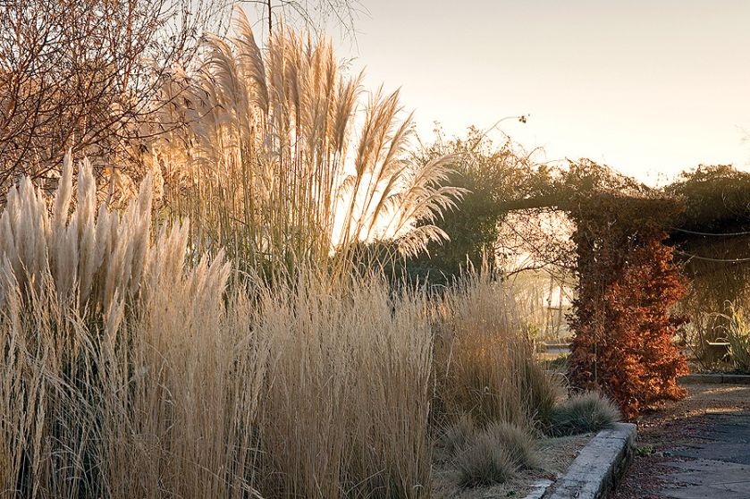 Kathy Brown s Garden. Ogród mrozem malowany