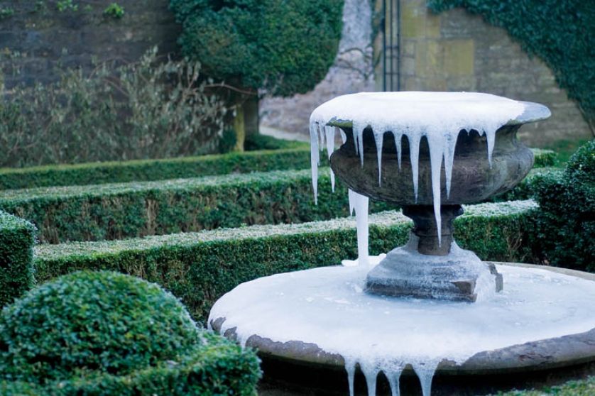 Kilometry zmrożonych żywopłotów poskręcanych jak włoskie lody, przyciętych w stożki i kule.