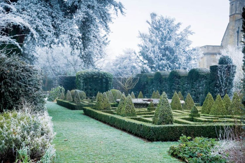 Kilometry zmrożonych żywopłotów poskręcanych jak włoskie lody, przyciętych w stożki i kule.