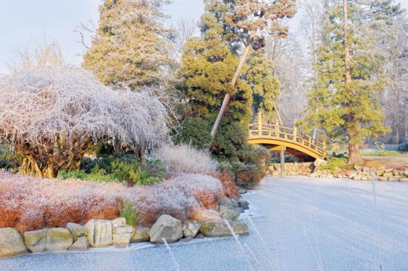 Mostek TAIKO BASHI. Ogród japoński pod śniegiem