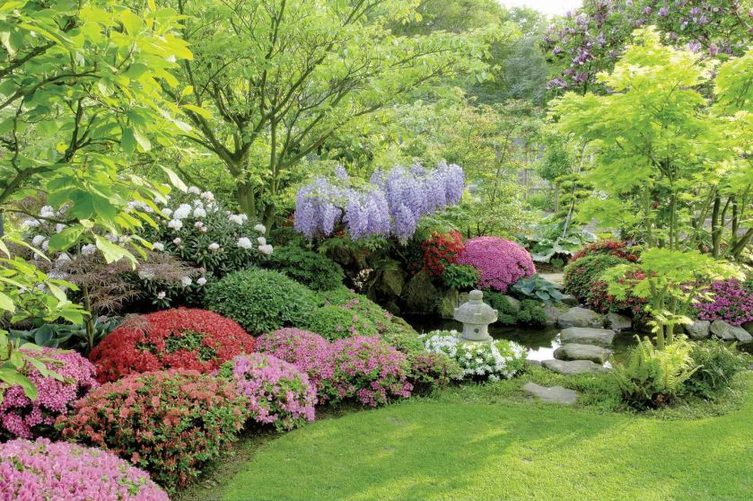 Ogród w stylu japońskim