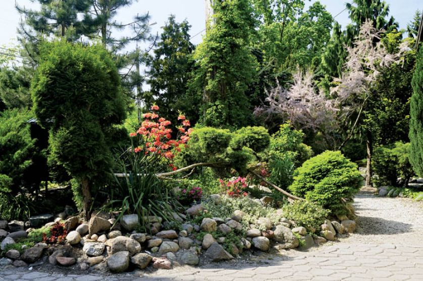 Ogrodowa alejka wije się pomiędzy rabatami i grupami drzew i krzewów. Idąc nią, odkrywamy coraz to nowe zakamarki ogrodu.