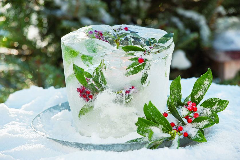 Dekoracje zimowe z ostrokrzewu