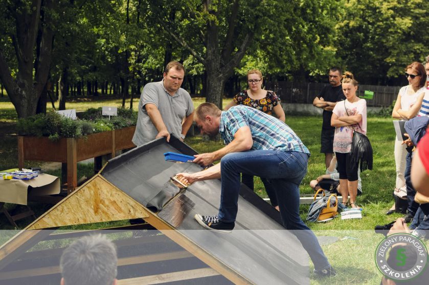 Projekt ZIELONE MIASTO: warsztaty MÓJ ZIELONY DACH.