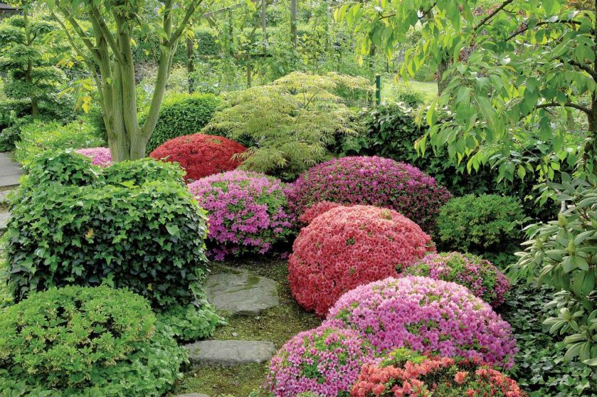 Projekt ogrodu japońskiego