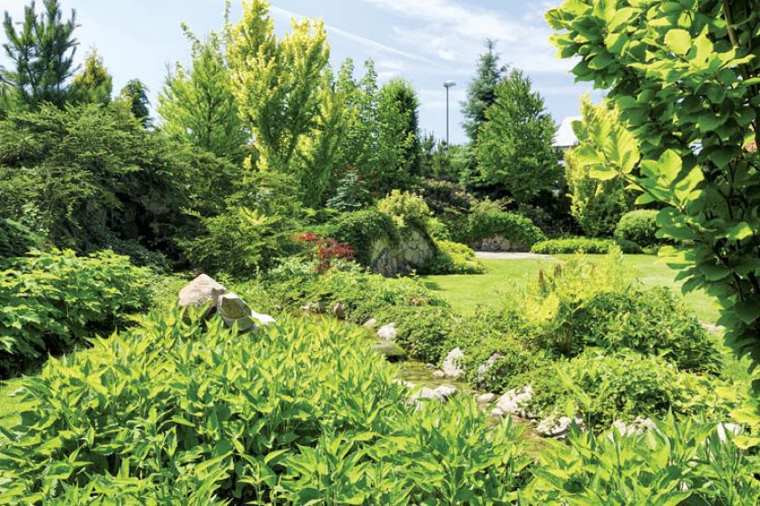 Aranżacja ogrodu nad rzeką