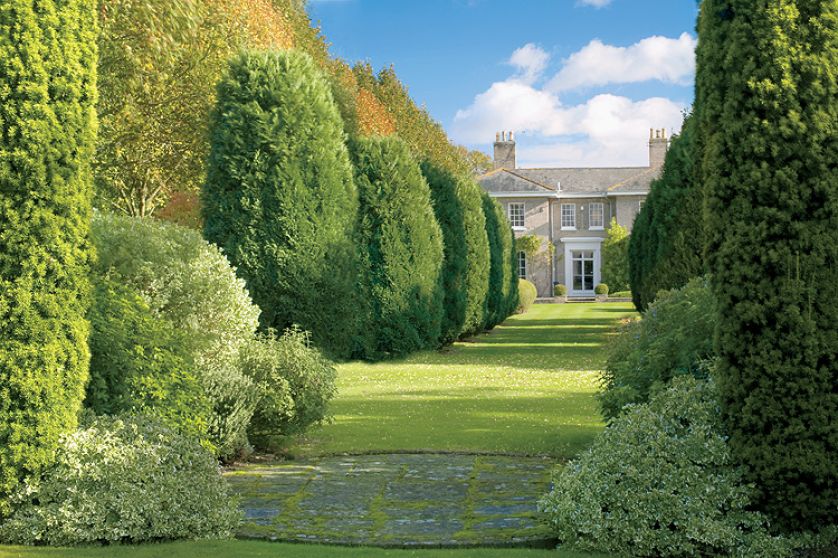 Wymarzona aleja z tujami. Ogród z tujami