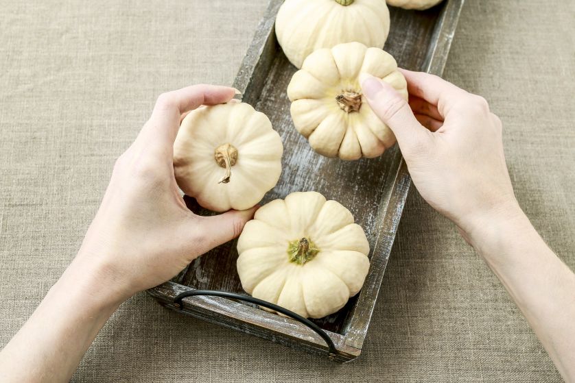 dekoracja z dyni krok po kroku