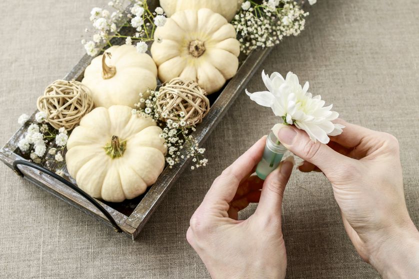 dynia na Halloween – jak ją przygotować