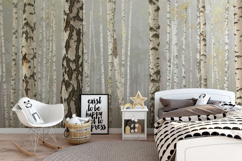 Fototapeta z brzozami, czyli nowe właściwości znanego drzewa