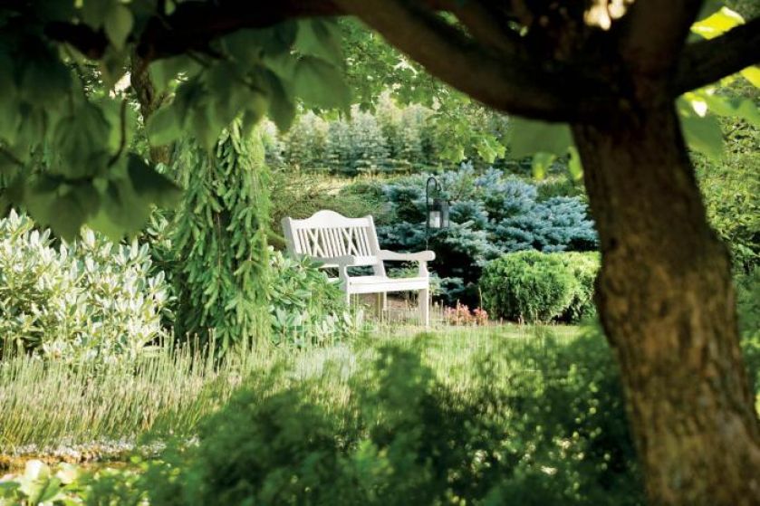 Ławeczka w ogrodzie. Wrzosowisko na tarasach