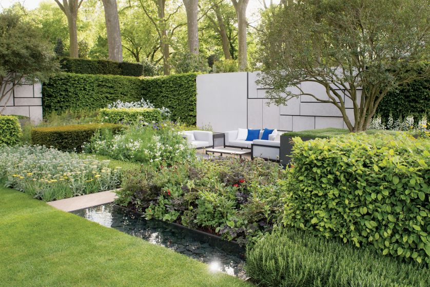 Oczko wśród klonów