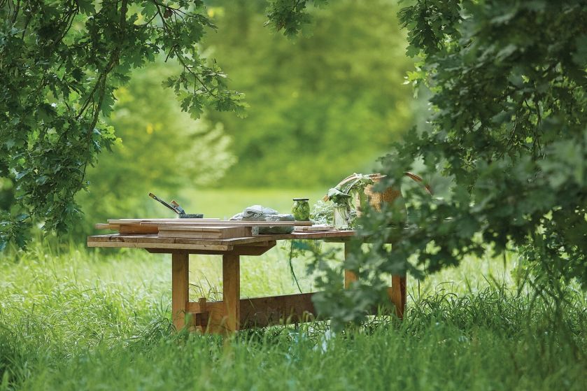 Romę Roman fascynuje eteryczne piękno kwiatów i ziół. Długo zastanawiała się, jak zatrzymać ich przemijanie.