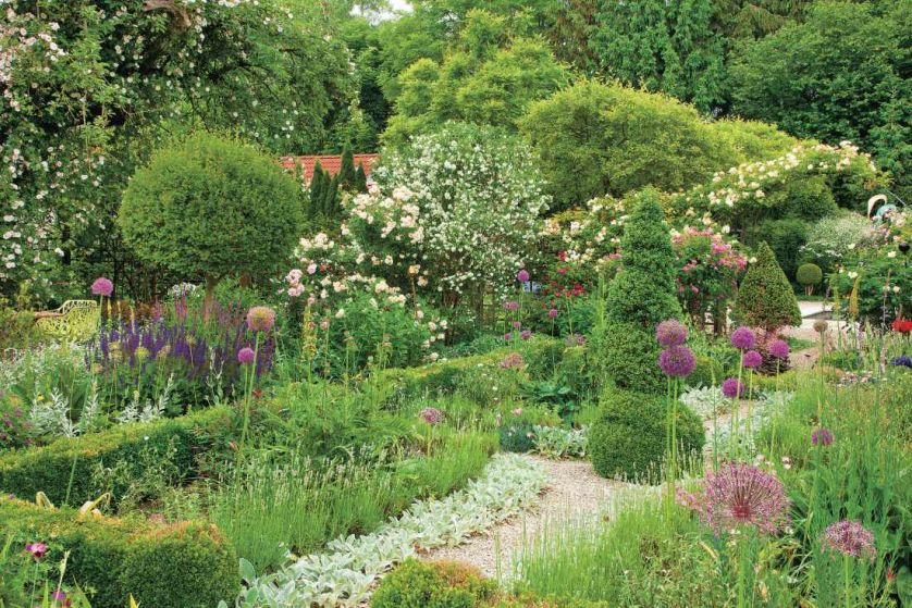 Strumyk dopełnił dzieła, ogród miejscami wygląda jak dżungla