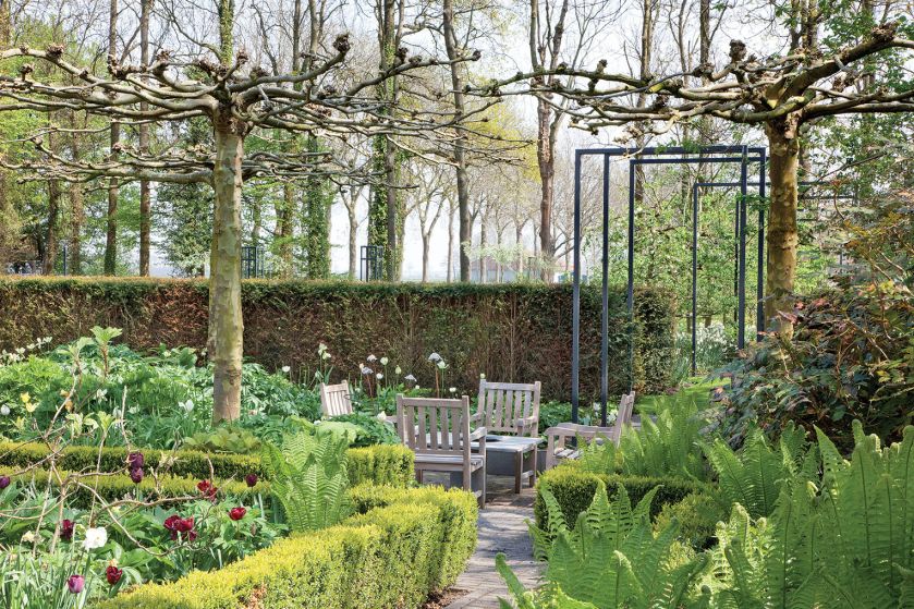 Wiosna nad stawem – ogród pełen tulipanów