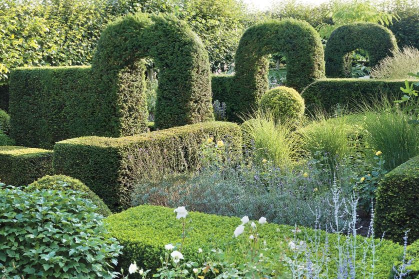 Aranżacja ogrodu: rośliny stały się rzeźbą