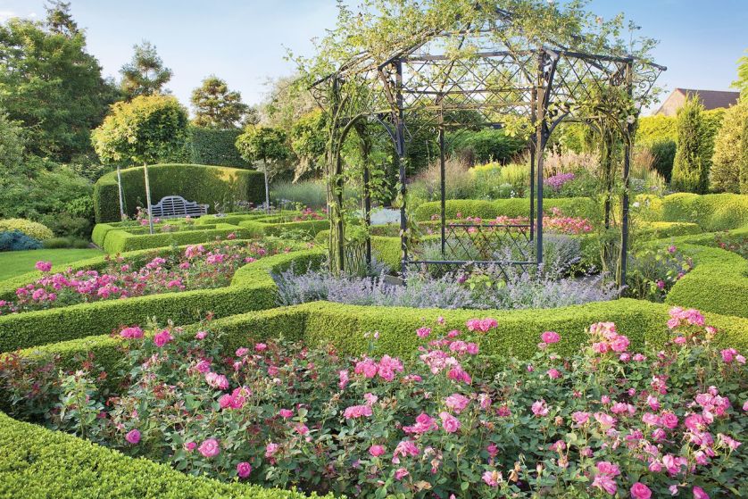 Aranżacja ogrodu: rośliny stały się rzeźbą