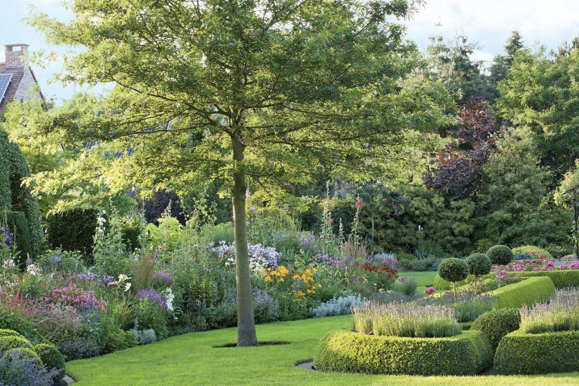 Aranżacja ogrodu: rośliny stały się rzeźbą