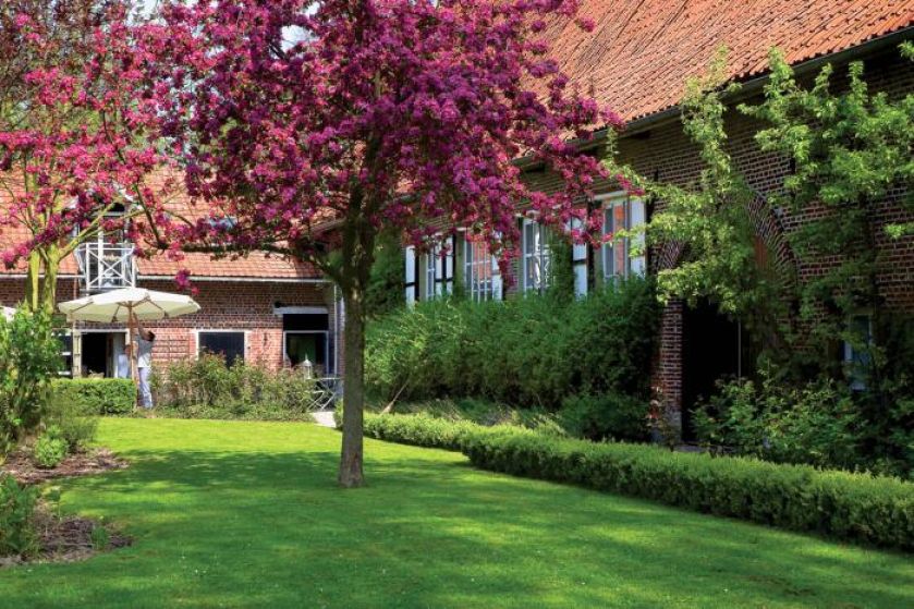 Piękna kolorystyka drzew i krzewów. Farma pełna pięknych staroci