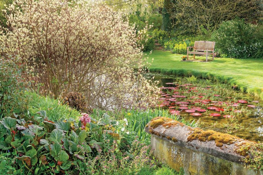 angielski gród ze stawem