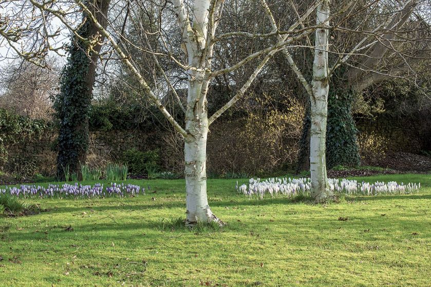 Senne miasteczko Ilmington ożywa dwa razy do roku: wiosną, gdy kwitną sady, i jesienią, kiedy