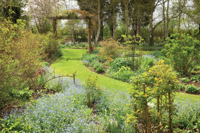 wiosenne rośliny w ogrodzie