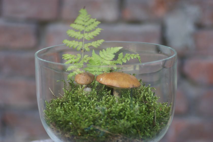 Aranżacja wnętrz zielenią