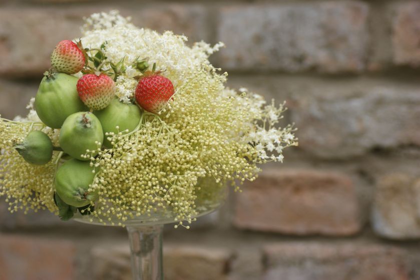 Aranżacja wnętrz zielenią