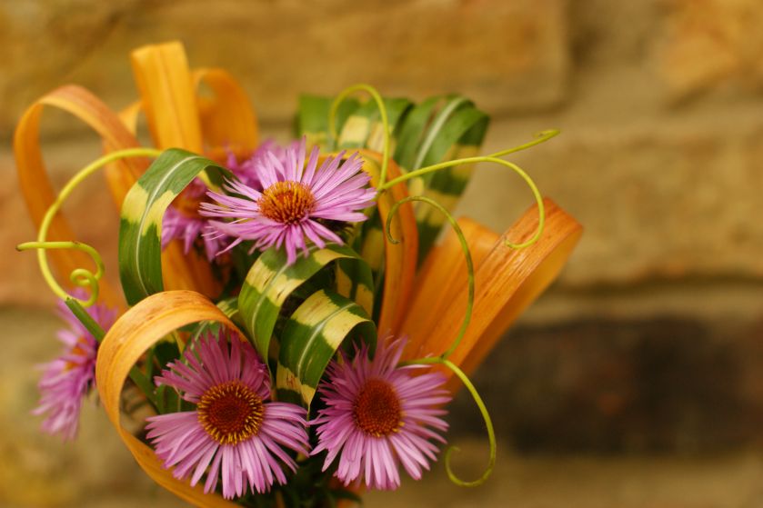 Aranżacja wnętrz zielenią