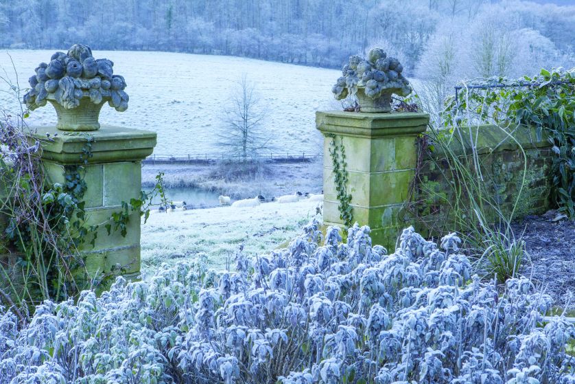 Ogród zimowy guru angielskiego ogrodnictwa