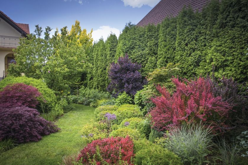 ogród pełen pięknych zakamarków