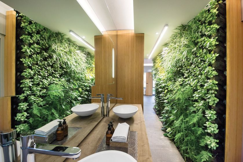 Pionowy ogród w łazience, z żywymi roślinami i oszczędnym systemem automatycznego nawadniania, livinggreenwalls.co.za