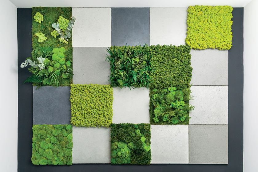 Z chrobotka reniferowego na samoprzylepnych panelach można układać fantazyjne dekoracje, mossdecor.pl