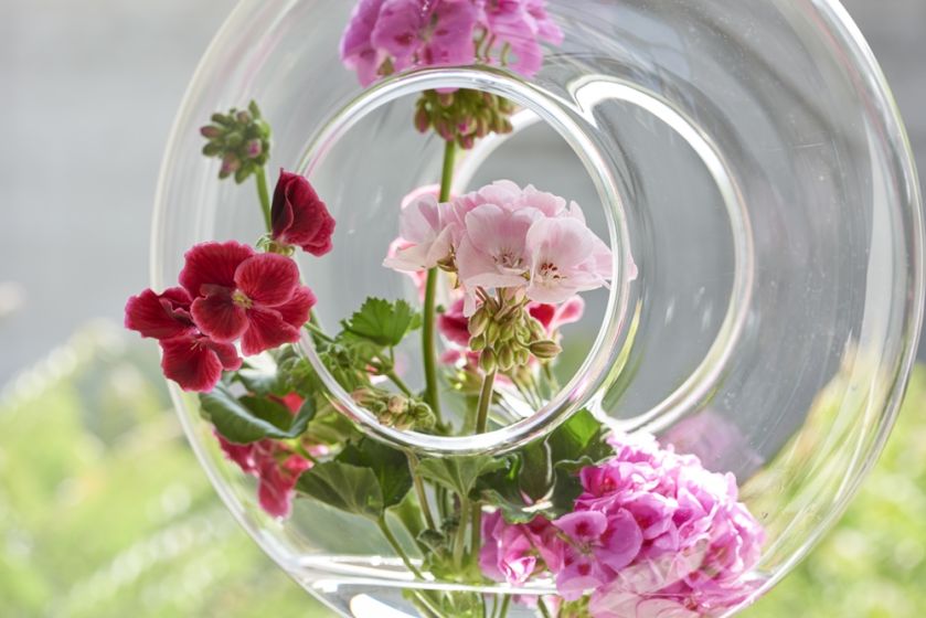 Pomysły na piękne bukiety i dekoracje z pelargonii