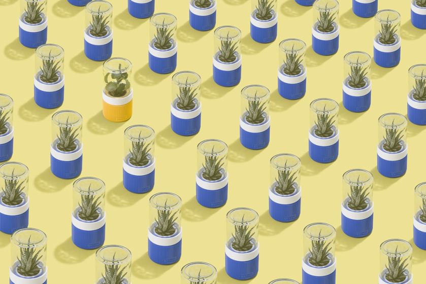 Miniszklarnie Groww, UAU project. UAU project – dekoracje drukowane w technologii 3D