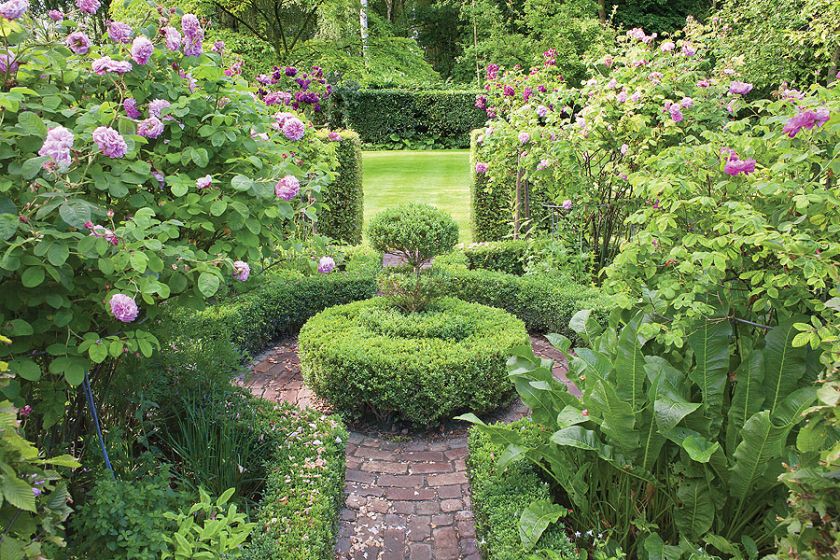 Alejki wśród klombów i żywopłotów. W cieniu wysokich drzew