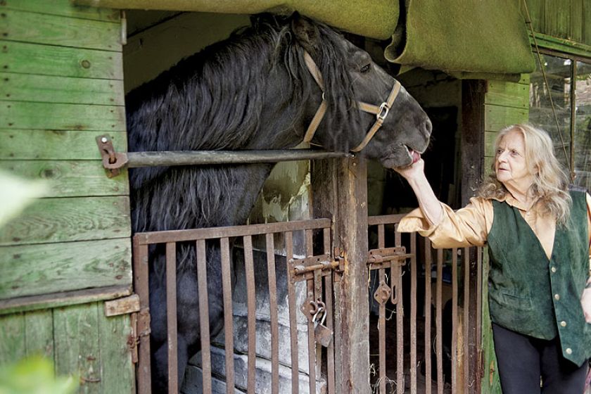 Anna Dębska rzeźbi zwierzęta. Jej drewniany dom stoi w lesie, a pomiędzy drzewami stoi mnóstwo rzeźb.