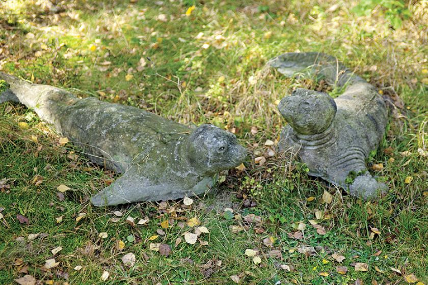 Anna Dębska rzeźbi zwierzęta. Jej drewniany dom stoi w lesie, a pomiędzy drzewami stoi mnóstwo rzeźb.