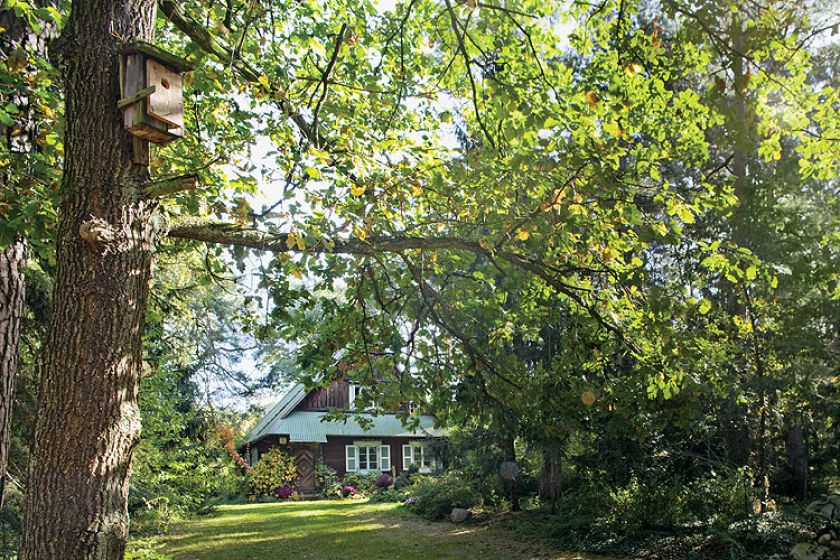 Anna Dębska rzeźbi zwierzęta. Jej drewniany dom stoi w lesie, a pomiędzy drzewami stoi mnóstwo rzeźb.