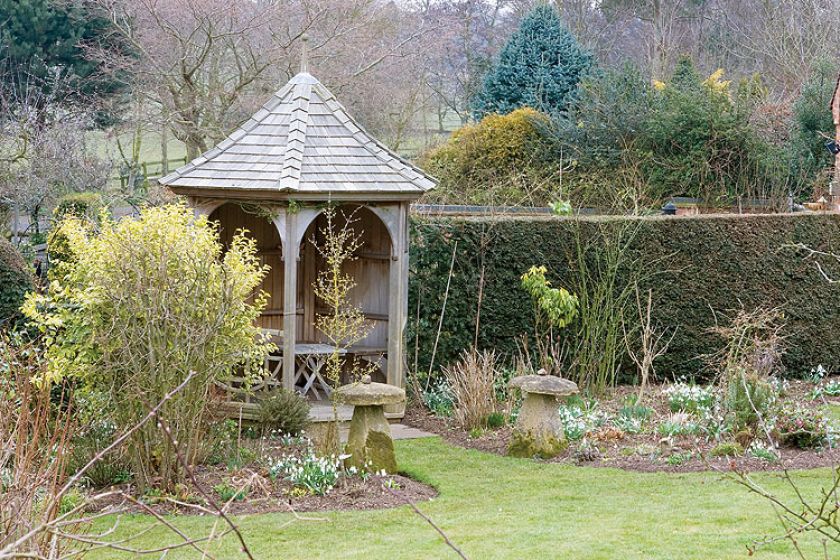 Białe kępki przebiśniegów najlepiej wyglądają na kolorowym tle. Dlatego w ich towarzystwie znalazły się błękitne