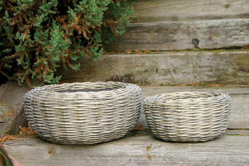 Cena:139 zł/2 szt. Willow House, Domoteka