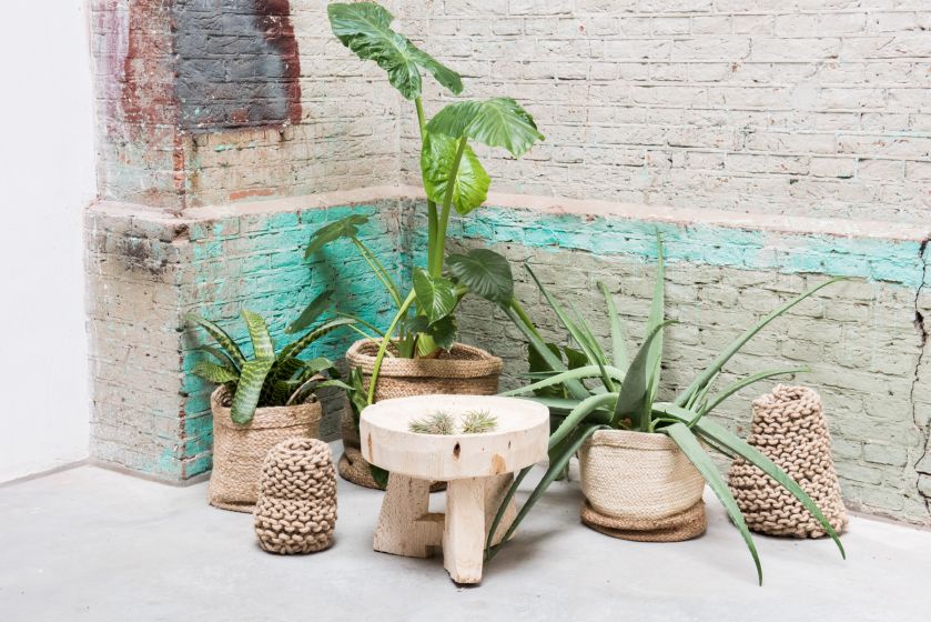 Dekoracje do domu: kwiaty na ścianach, meblach i w doniczkach