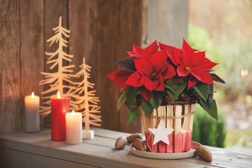 Jak udekorować okno na święta: pomysł na świąteczną dekorację okna