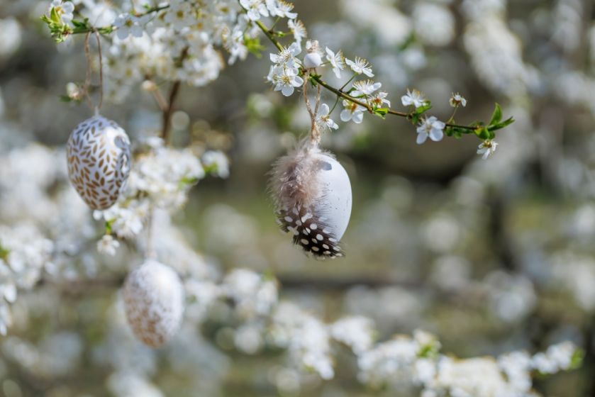 pisanki jajka wielkanocne do ogrodu